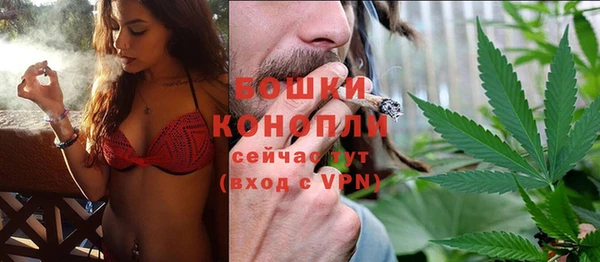 сатива Лихославль