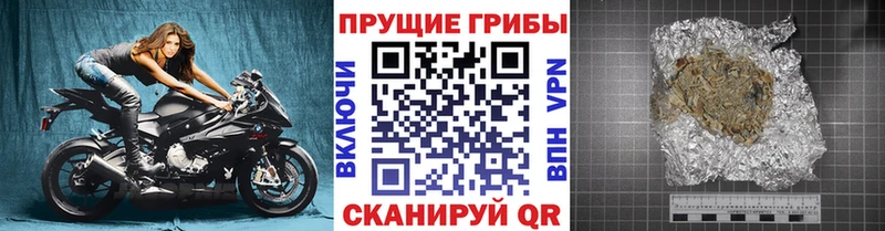 где купить наркоту  Фёдоровский  Псилоцибиновые грибы Cubensis 